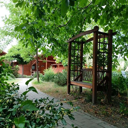 Dream Horse Apartman Cserkeszőlő المظهر الخارجي الصورة