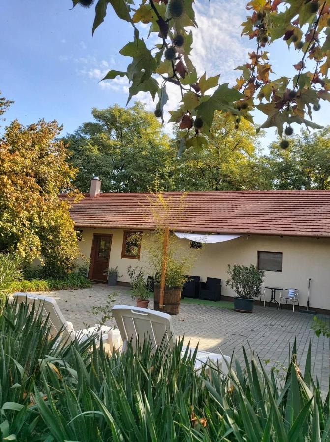 Dream Horse Apartman Cserkeszőlő المظهر الخارجي الصورة