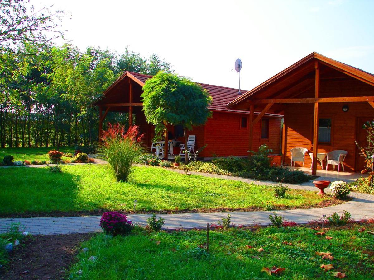 Dream Horse Apartman Cserkeszőlő المظهر الخارجي الصورة